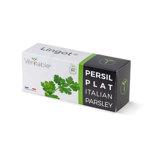 Lingot Italian Parsley - Organic