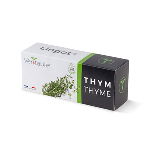 Lingot Thyme - Organic