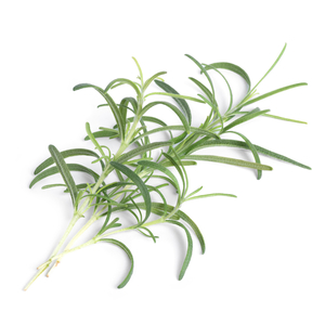 Lingot Rosemary