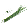 Lingot Chinese chives  - Organic