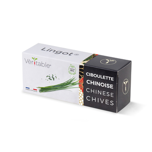 Lingot Chinese chives  - Organic